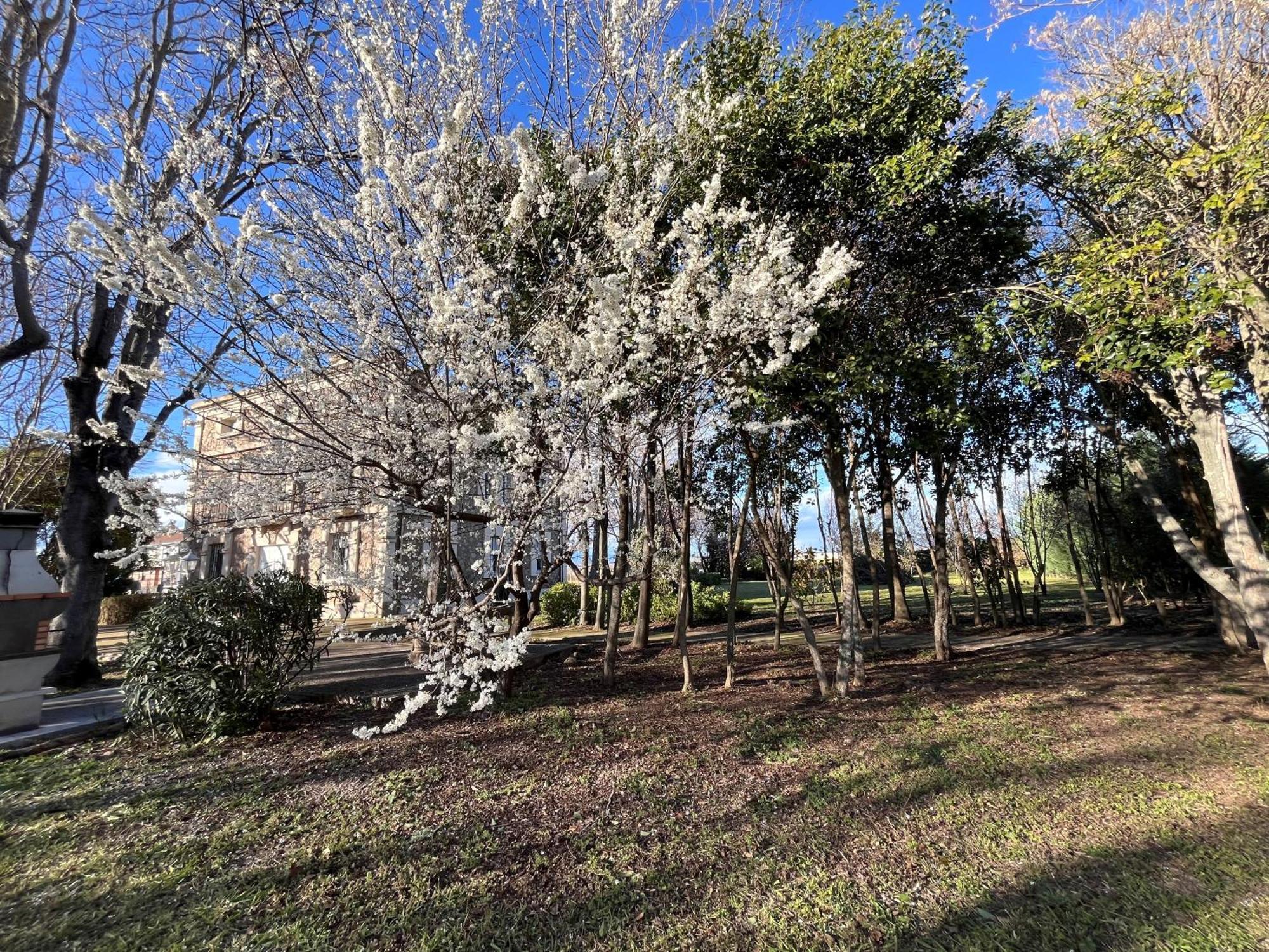 Villa Merenciana Agoncillo Εξωτερικό φωτογραφία